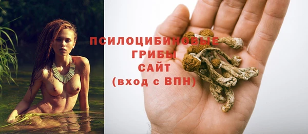 apvp Новокубанск