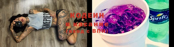 трава Новодвинск