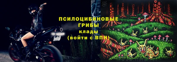 прущие крисы Абаза